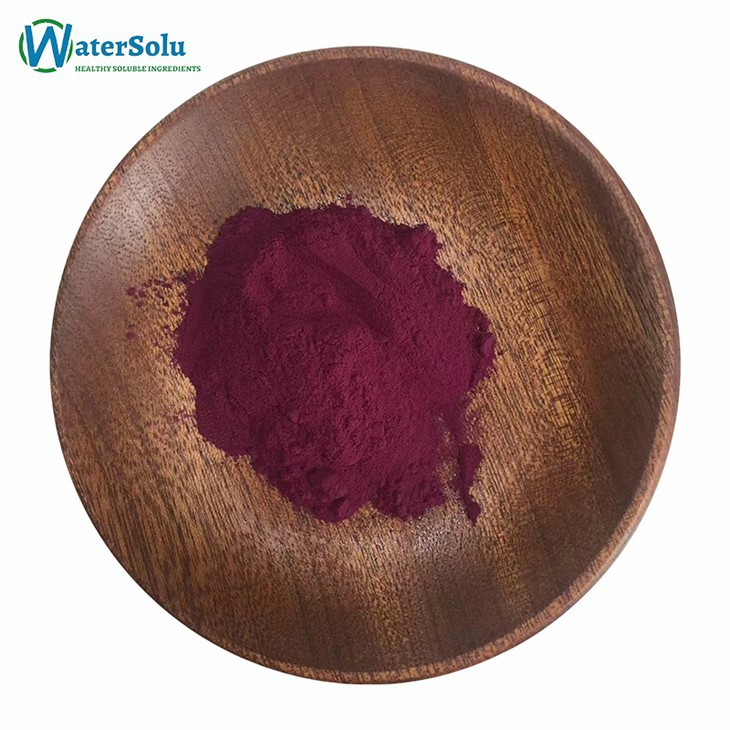 Elderberry Extract Powder